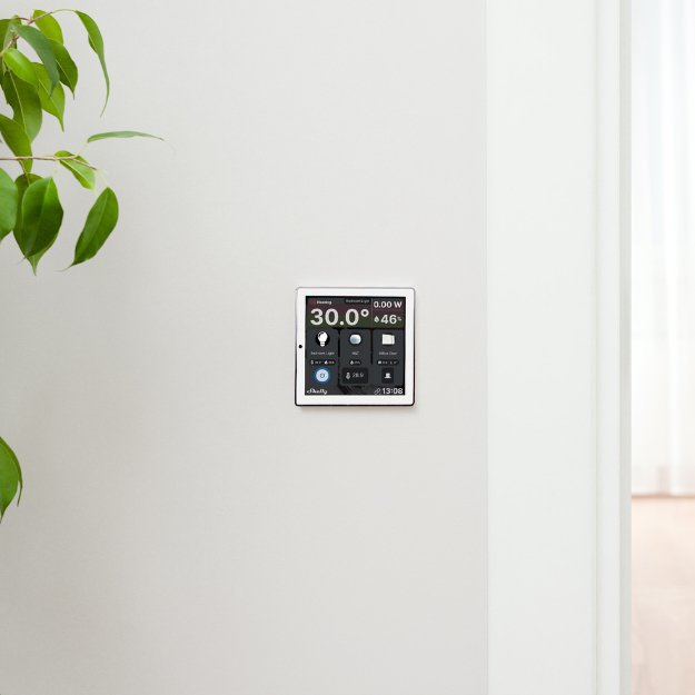 Shelly Wall Display - Lykalyte